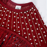 Plus Size Women Vintage Sequin Fringe Dress