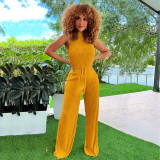 Women Sexy Pleated Sleeveless Jumpsuit