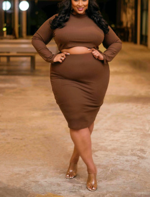 Plus Size Long Sleeve Round Neck Tight Fitting Plus Size Two-Piece Skirt Set