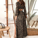 Spring Summer Leopard Print Chic Elegant Open Waist Long Sleeve Slit Long Swing Dress