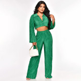 Women Solid Sexy Shirt and Casual Pants Two Piece Set