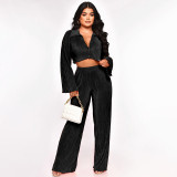 Women Solid Sexy Shirt and Casual Pants Two Piece Set