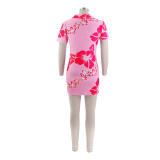 Women's Turndown Collar Floral Print Summer Sweet Dress