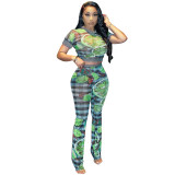 Women's summer mesh printing see-through short-sleeved top trousers casual Two Piece Set