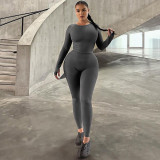 Women Summer Stretch Sport Long Sleeve Top and Yoga Pants Two-Piece Set