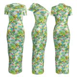 Ladie Casual Round Neck Side Pocket Short Sleeve Printed Maxi Dress for Women