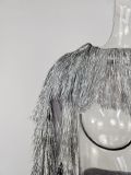 Women's Costumes Trendy Silver Long Sleeve Fringed Pants Set