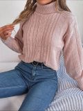 Autumn And Winter Casual Turtleneck Twist Long-Sleeved Knitting Pullover Sweater Women's Clothing