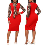 Sexy Fashion Digital Printing Long Sleeve Round Neck Women's Dress