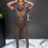 Summer Short-Sleeved Mesh Print Fashion Slim See-Through High-Waisted Two Piece Trouser Suit