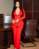 Women's Two-Piece Solid Color Straight Leg Pants Sexy Long Sleeve Slit Casual Tracksuit