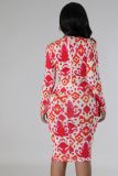 Women's Chic V Neck Slim Waist Bodycon Print Dress