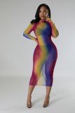 Women Sexy Mesh Bodycon Print Dress