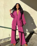 Women Clothing Autumn/Winter Solid Pleated Long Sleeve Top and Pant Two-Piece Set