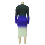 Women's Gradient Positioning Print Long Sleeve Pleated Dress