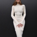 Women Turtleneck Ribbed Knitting Solid Maxi Dress