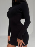 Women Turtleneck Ribbed Knitting Solid Maxi Dress