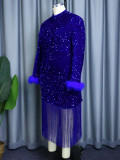 Round Neck Long Sleeve Shiny Sequin Tassel Formal Party Prom Dress
