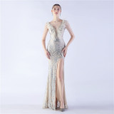 Elegant Feather And Beaded Long Sequined Evening Dress