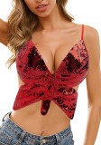 Sexy Dance Performance Sequined Top Belly Dance Butterfly Bra Nightclub Stage Party Costume