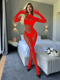 Sexy Lingerie Long-Sleeved One-Piece See-Through Fishnet Bodystockings