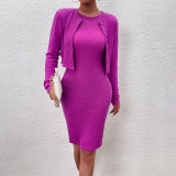 Women Elegant Long Sleeve Top and Round Neck Bodycon Dress Two-piece Set