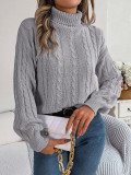 Women Fall/Winter Casual Solid Long Sleeve Turtleneck Sweater