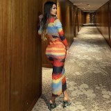 Multi-Color Printed Mesh Long-Sleeved Slim-Fitting Beach Dress
