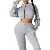 Autumn And Winter Casual Fashion High Waist Slim Fit Plus Size Two Piece Tracksuit