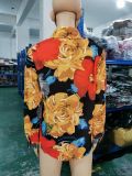 Women's Tops Spring Autumn Long Sleeve Button Digital Printed Shirt