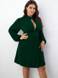 Slim Waist Chic Solid Color Long Sleeve Sexy Hollow Plus Size Women's Dress