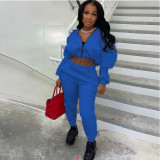 Women Solid Zipper Crop Top and Pant Two-piece Set