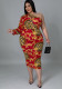 Plus Size Women's Sexy Hollow One Shoulder Long Sleeve Printed Dress