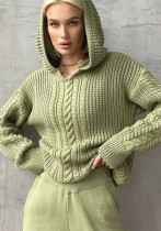 Women's Autumn Fashion Style Hooded Long Sleeve Knitting Sweater