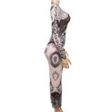 Autumn Women 's Sexy Digital Print Mesh High Waist Slim Long Dress