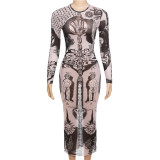 Autumn Women 's Sexy Digital Print Mesh High Waist Slim Long Dress