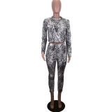 Women's Autumn And Winter Leopard Print Long-Sleeved Two-Piece Pants Set