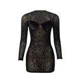 Women autumn leopard print flocked mesh sexy Bodycon Mini dress