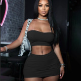 Women Solid Top and High Waisted Bodycon Skirt Two-piece Set
