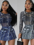 Women's Spring Printed Mesh Bodysuit And Skirt Two-Piece Set