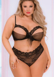 Sexy Mesh See-Through Midnight Hollow Temptation Sexy Lingerie Set