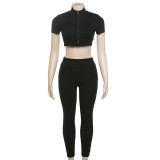 Women sexy Crop short-sleeved Top and high-waisted Casual Pant two-piece set