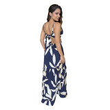 Casual Strap Low Back Holidays Style Women's Sexy Beach Dress