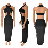 Women Backless Solid Halter Neck Top and Long Dress Two-piece Set
