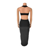 Women Backless Solid Halter Neck Top and Long Dress Two-piece Set