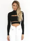 Spring Long Sleeve Women's Sexy Hollow Stand Collar Women's Basic Top
