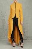 Spring Long-Sleeved High-Neck Slim Zipper Irregular Long Dress