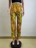 Spring Women's Casual Yellow Comfort Straight Pants