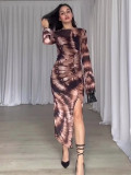 Spring Printed Mesh See-Through Sexy Dress