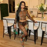 Summer Fashion Digital Print Sexy See-Through Mesh Crop Top High Waist Pants Two Piece Set